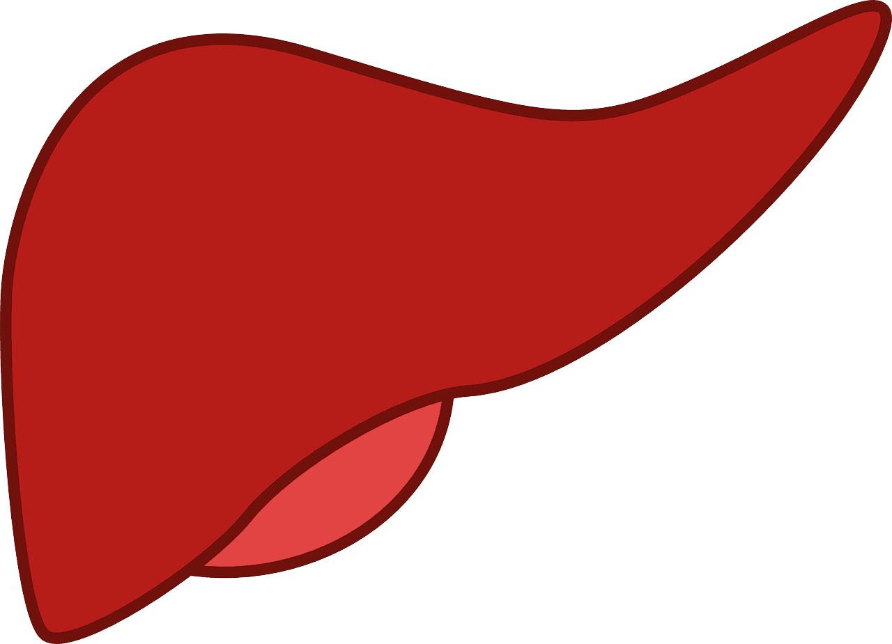 Dieta pós-colecistectomia: o que comer após a cirurgia da vesícula biliar