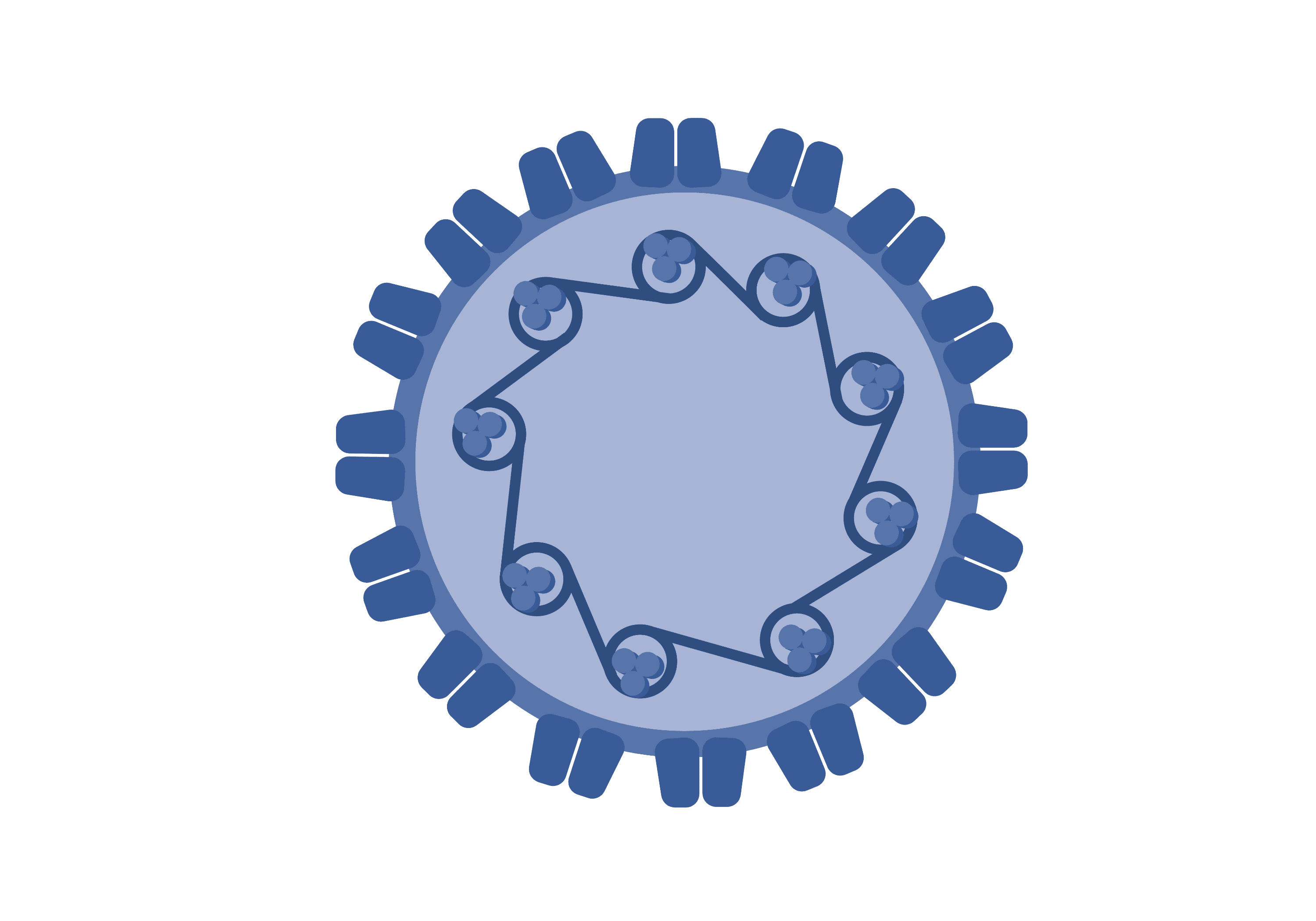 HPV Anal: Conexão com o Câncer e a Importância da Prevenção